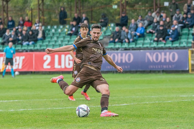 为家乡球队 为家乡球队