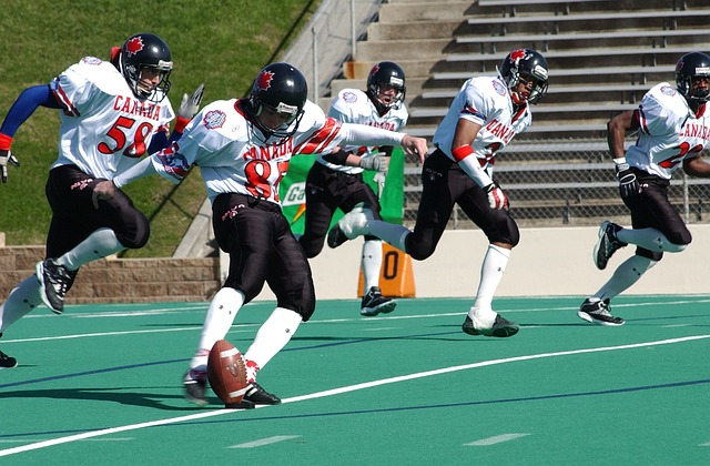 他们逐渐从 他们逐渐从