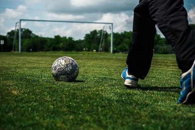 中表现出色 中表现出色