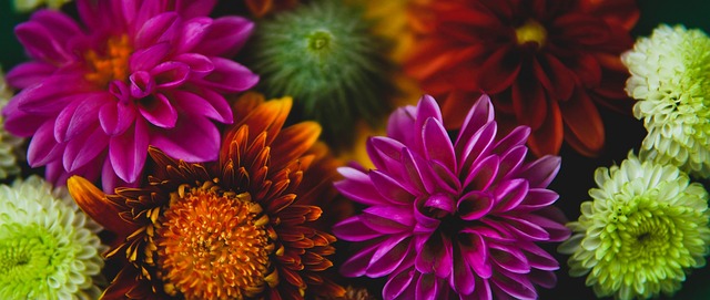 哥本哈根後 哥本哈根後