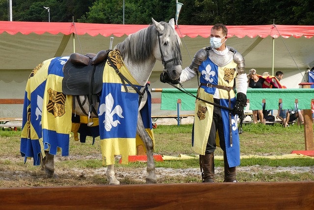 这是中国越 这是中国越