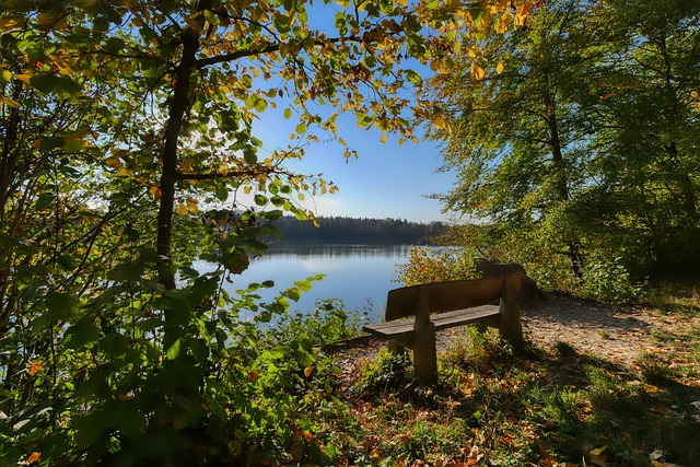 生活方式 生活方式