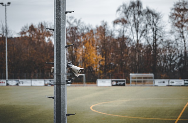 我们有理由 我们有理由